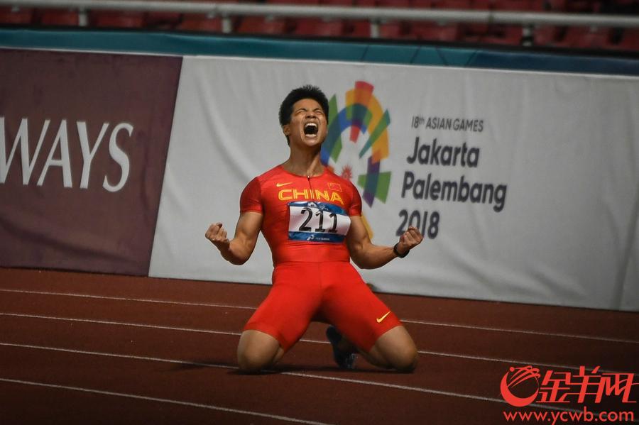 亚运会男子100米决赛苏炳添以9秒92的成绩破赛会纪录夺冠。 金羊网特派记者 周巍 摄
