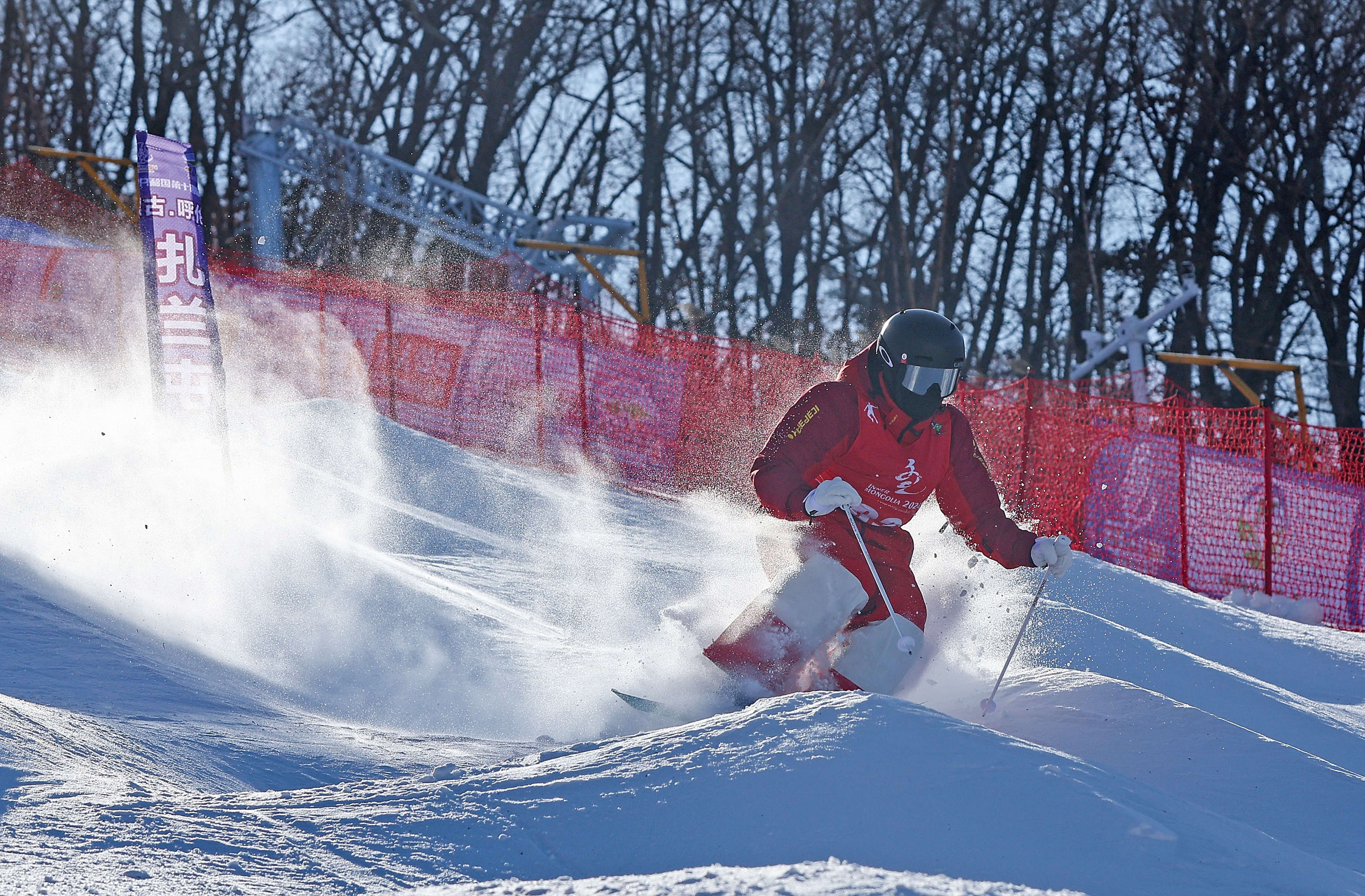 （全冬会）（17）自由式滑雪——女子双人-FZ000313657664.jpg