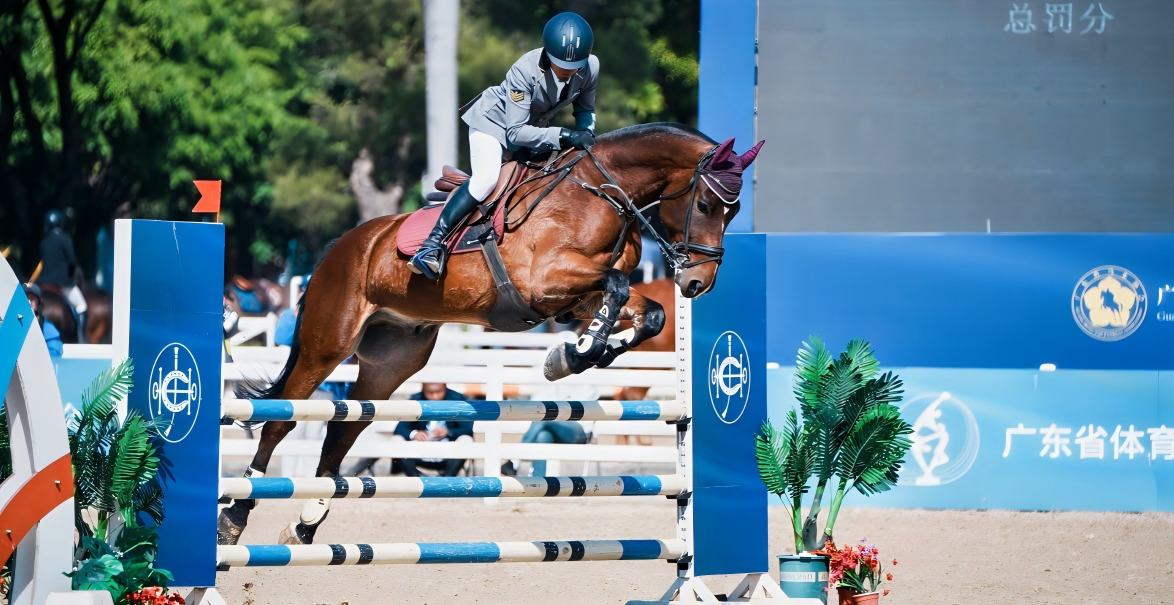今日马术比赛3(1).png